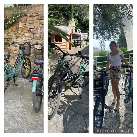 Edy Aparthotel Imperia