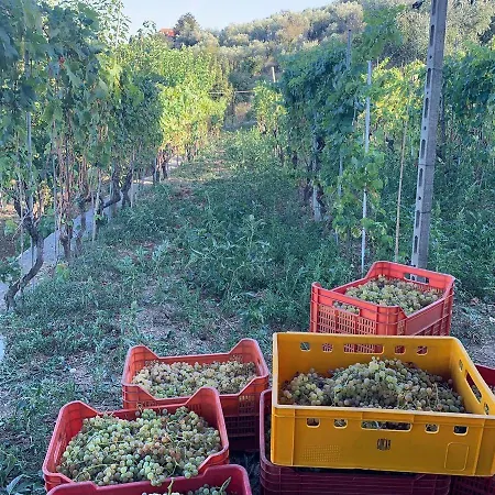 伊迪酒店公寓 公寓式酒店 因佩里亚