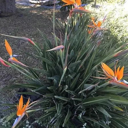 伊迪酒店公寓 3*