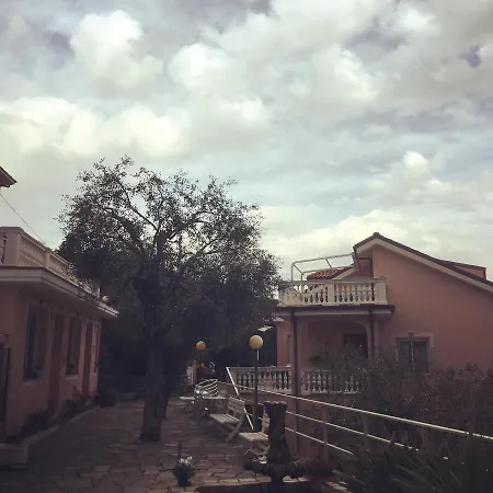 Edy