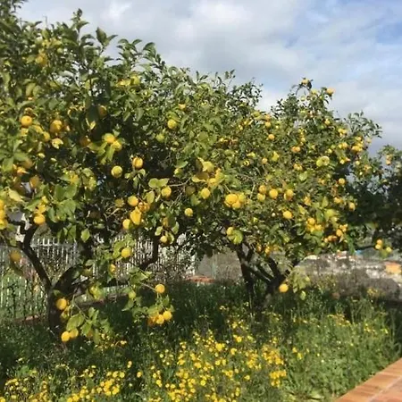 公寓式酒店 伊迪酒店公寓 3*