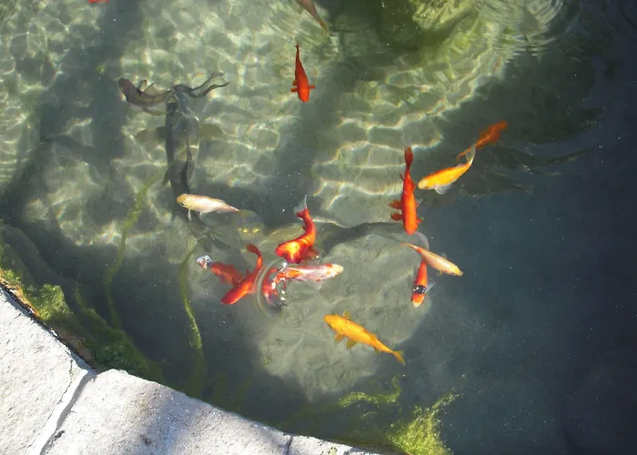 Lejlighedshotel Edy 3*