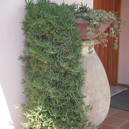 アパートホテル Edy 3*