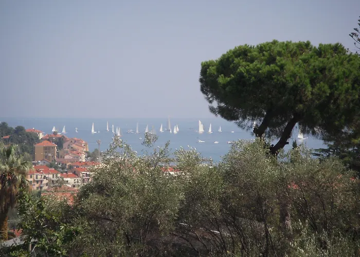 Edy Imperia